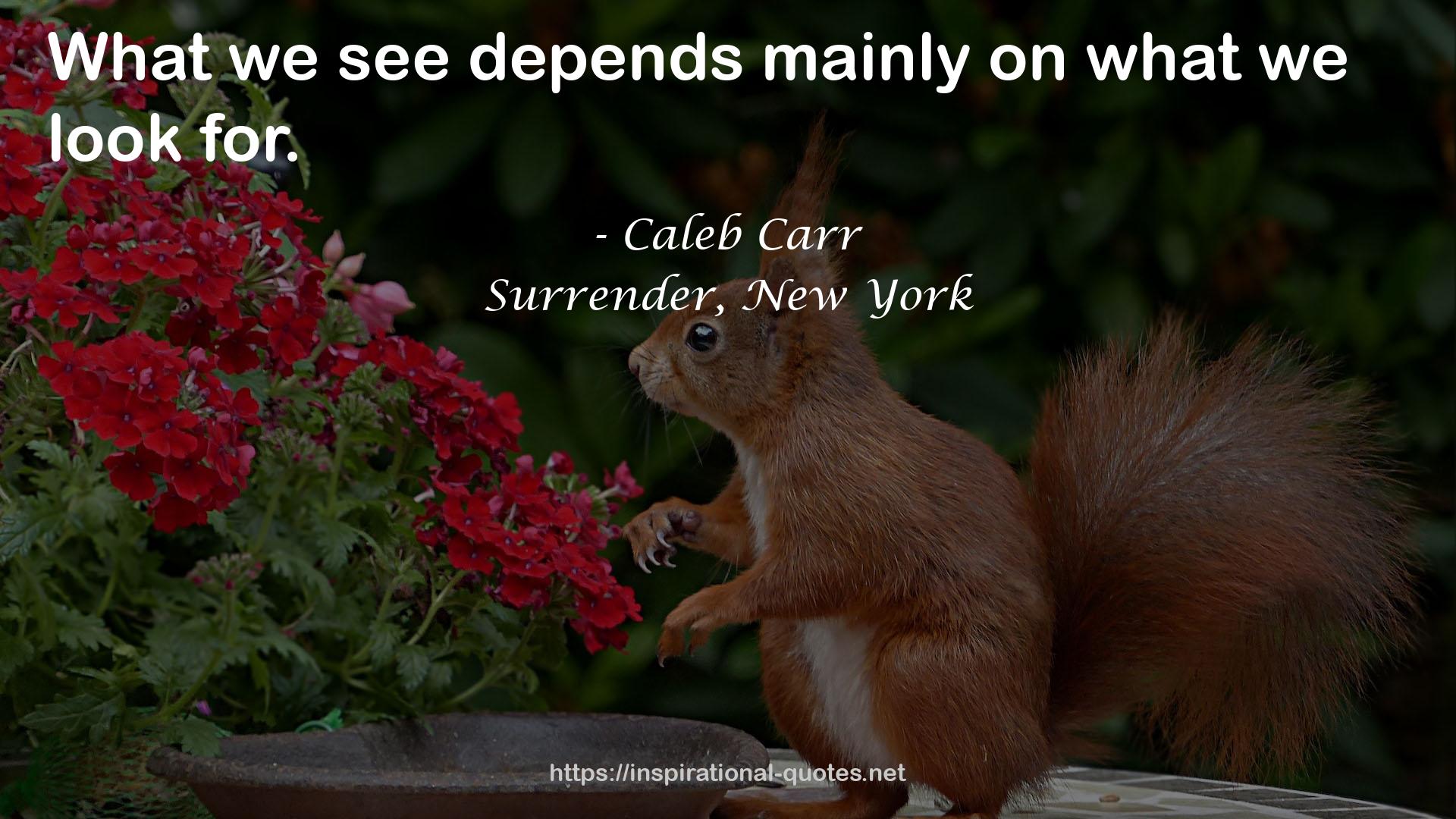 Surrender, New York QUOTES