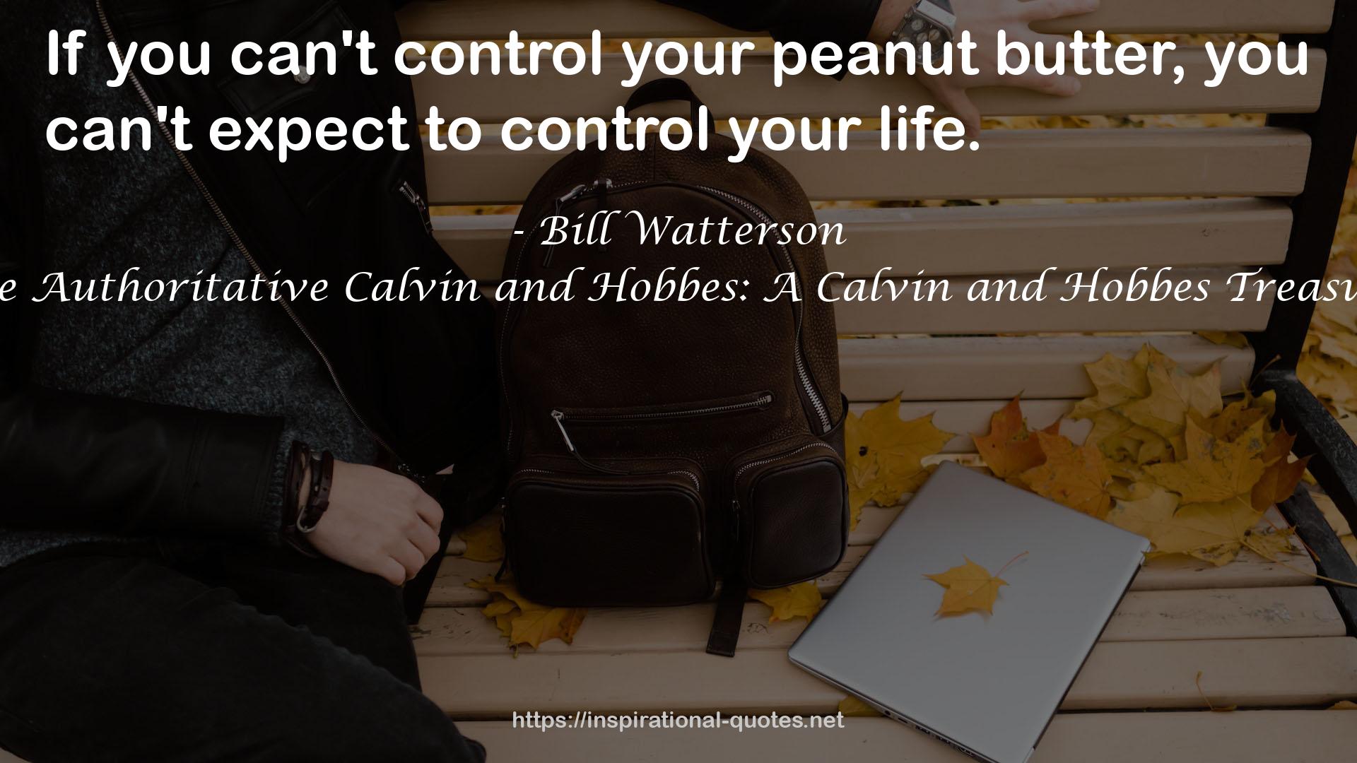 The Authoritative Calvin and Hobbes: A Calvin and Hobbes Treasury QUOTES