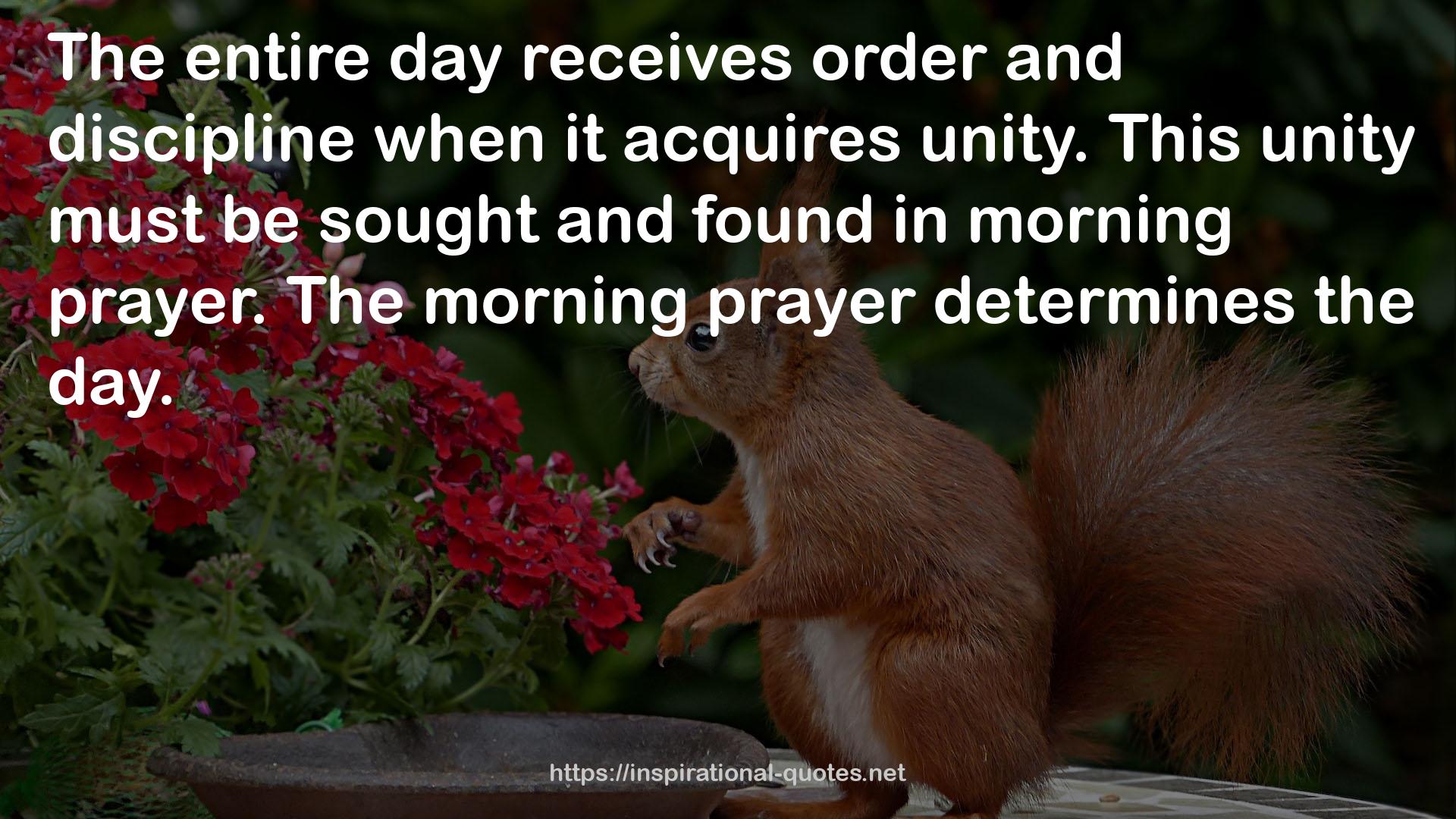 The morning prayer  QUOTES