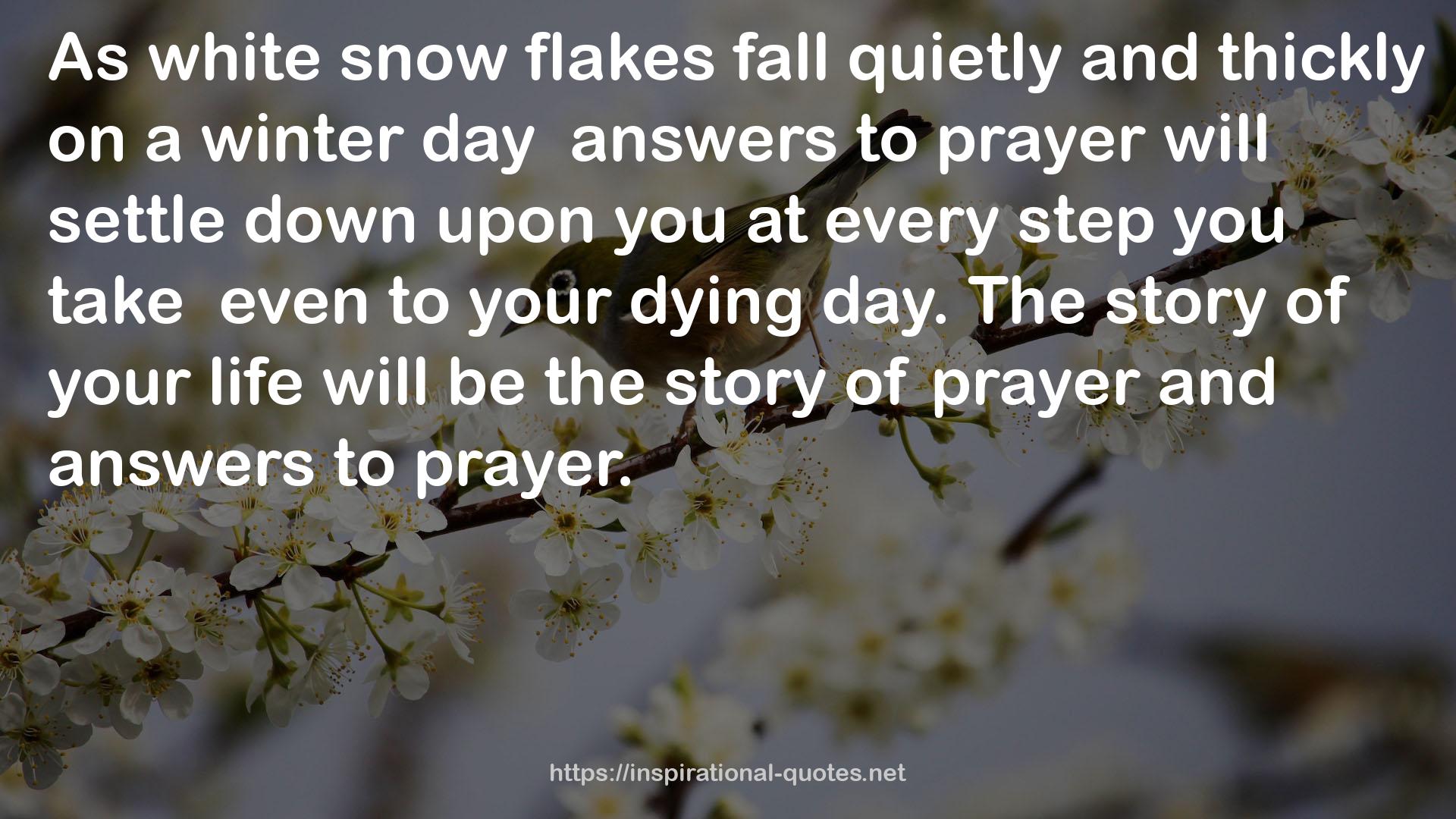 white snow flakes  QUOTES