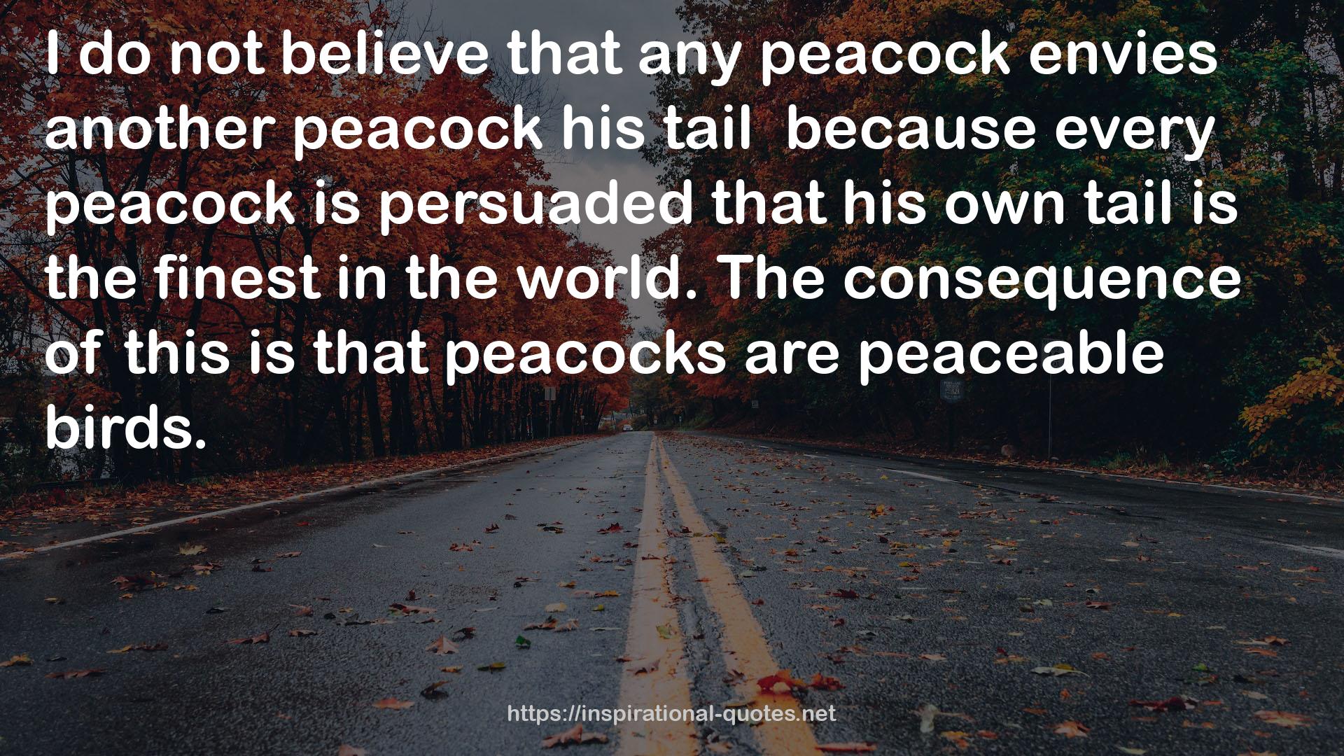 another peacock  QUOTES