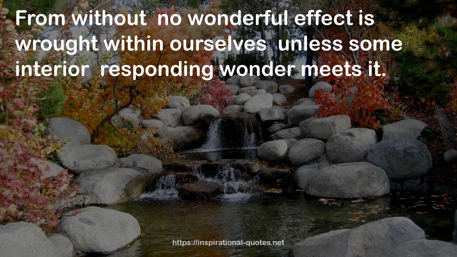 no wonderful effect  QUOTES