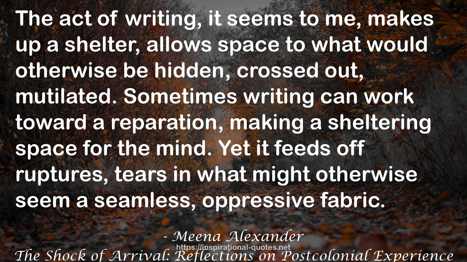 Meena Alexander QUOTES