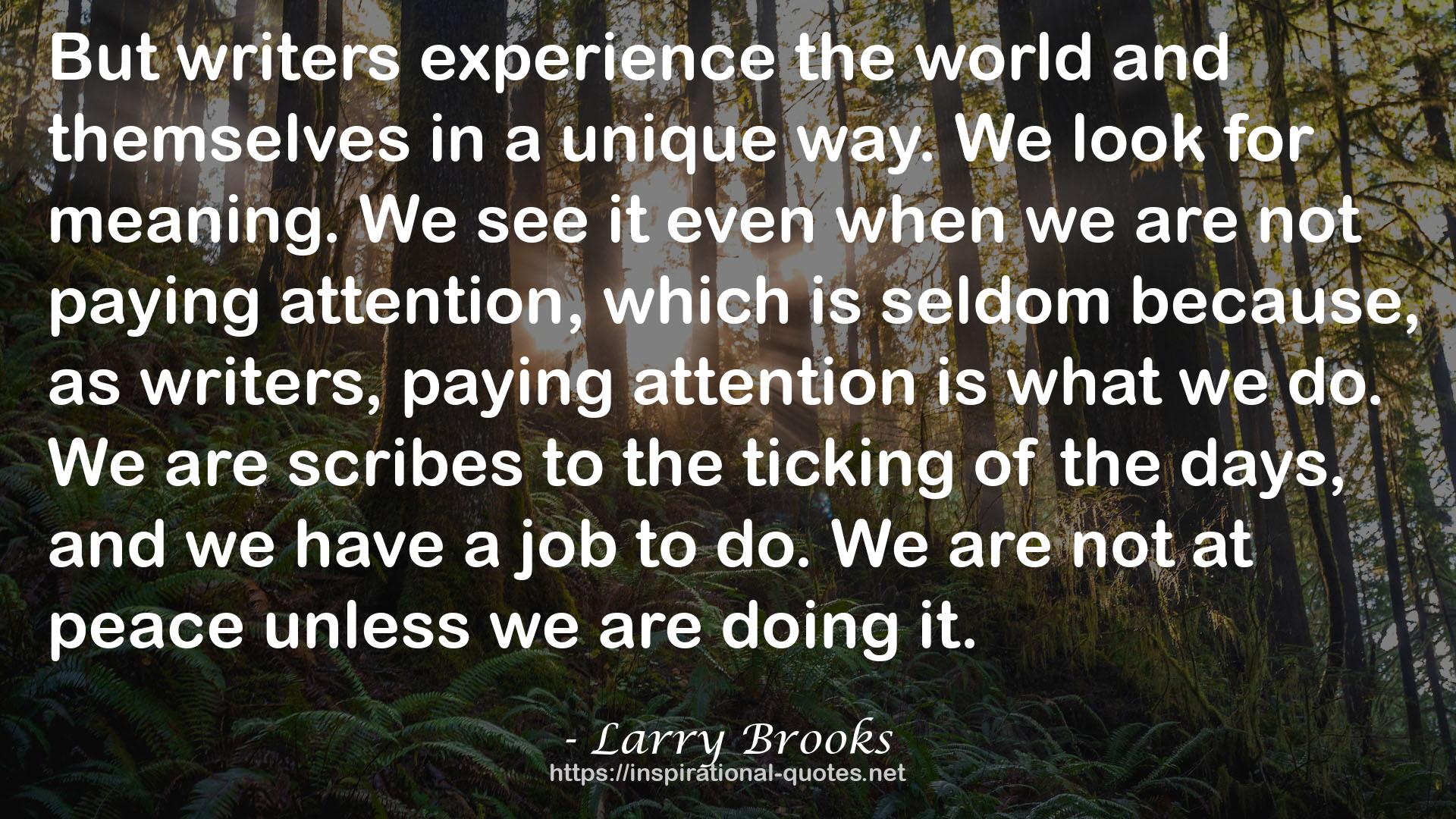 Larry Brooks QUOTES