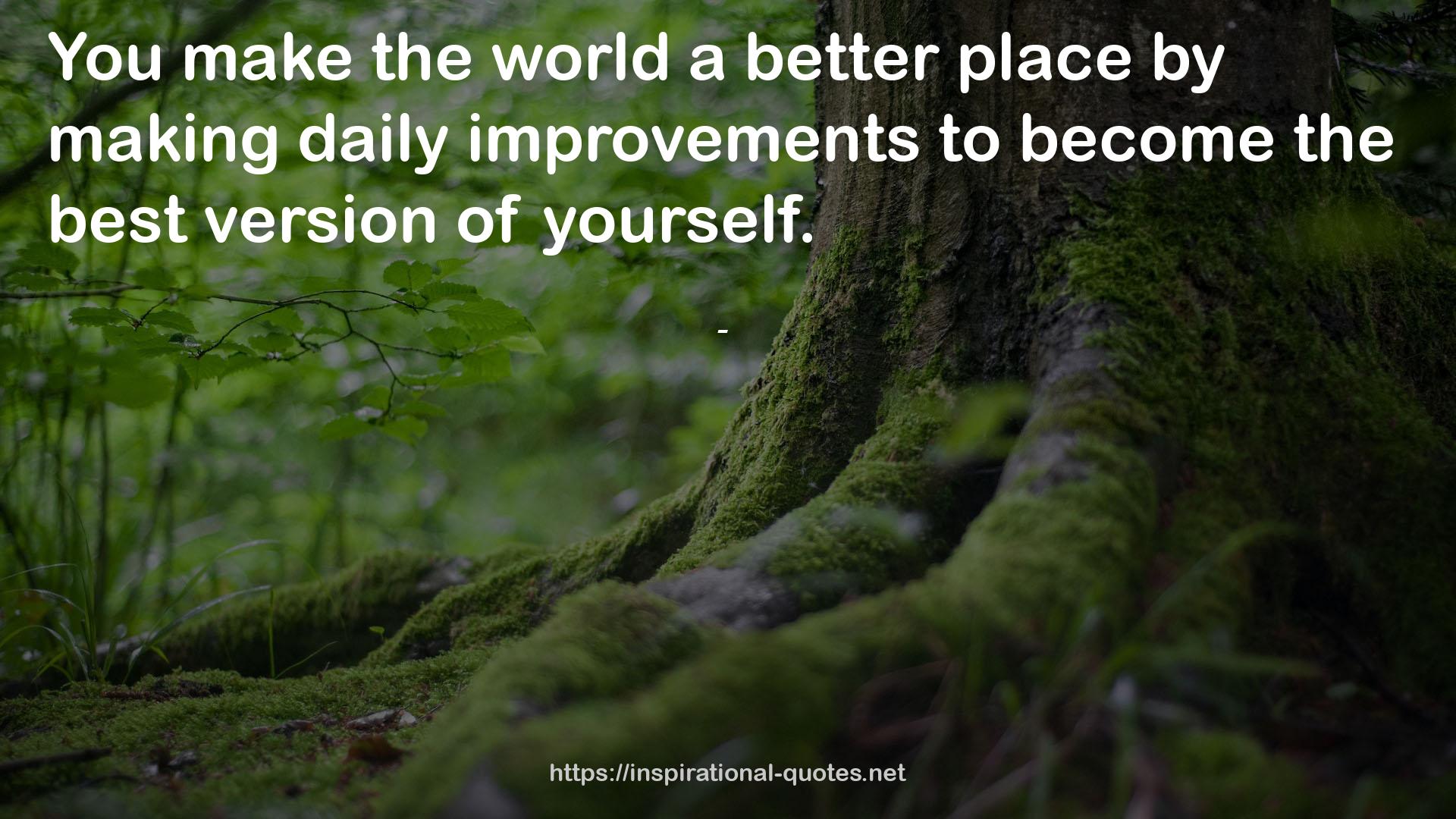 daily improvements  QUOTES