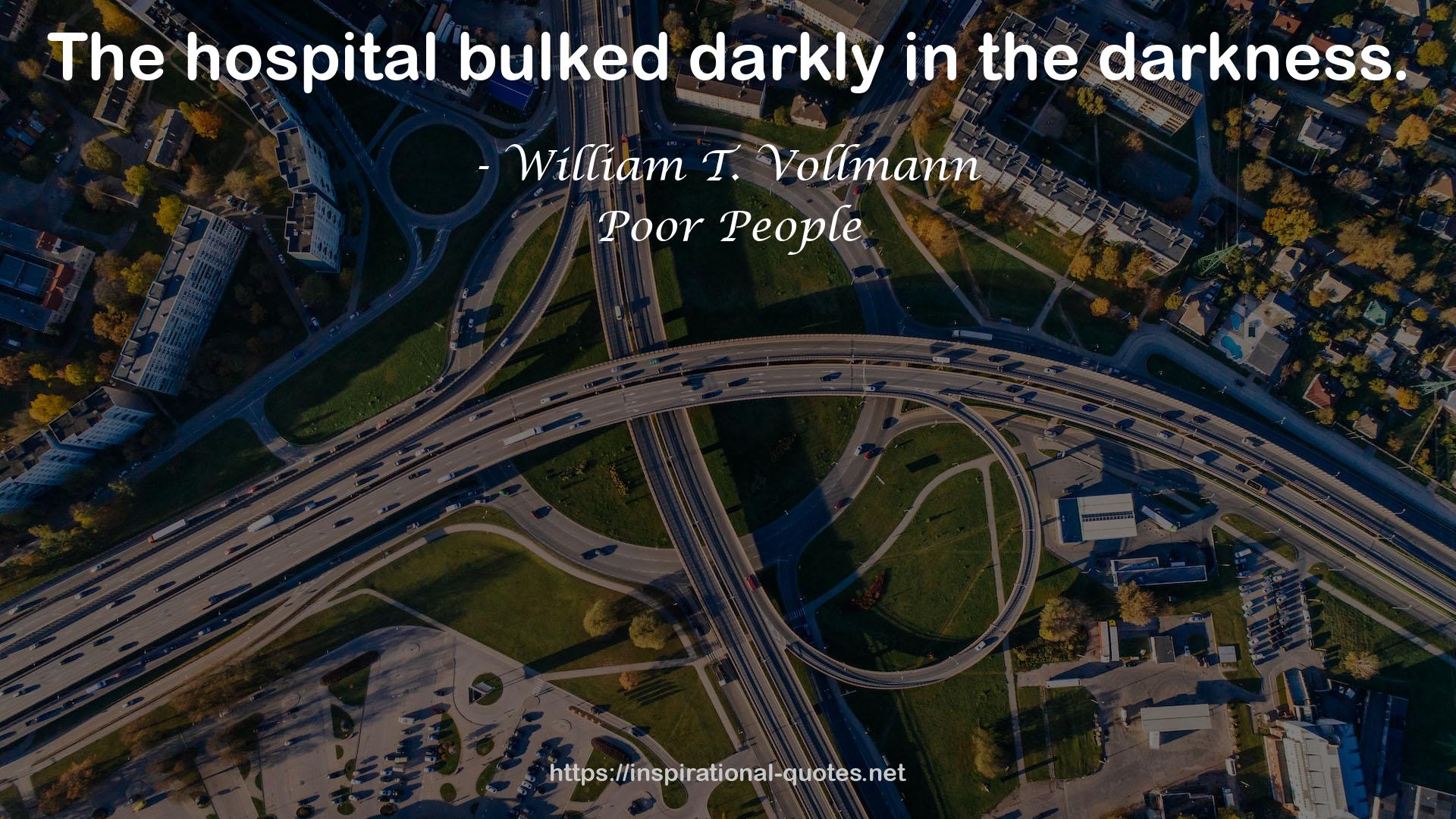 William T. Vollmann QUOTES