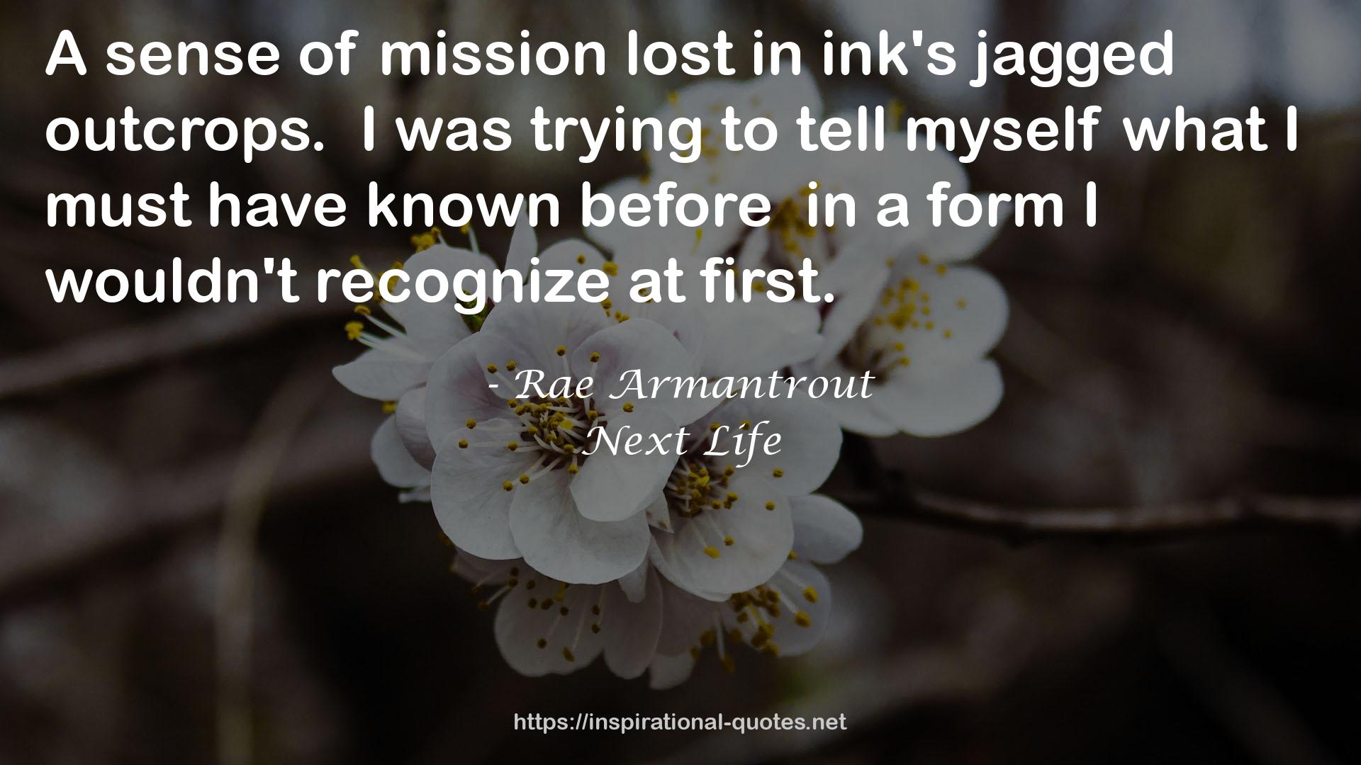 Rae Armantrout QUOTES