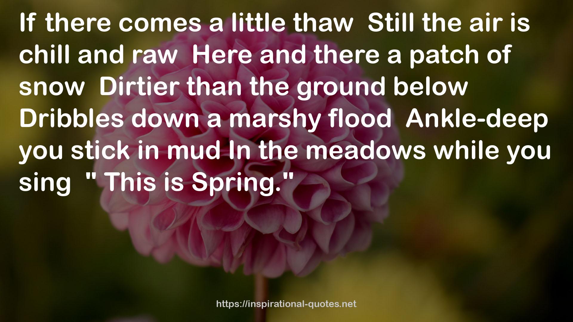 a marshy flood  QUOTES