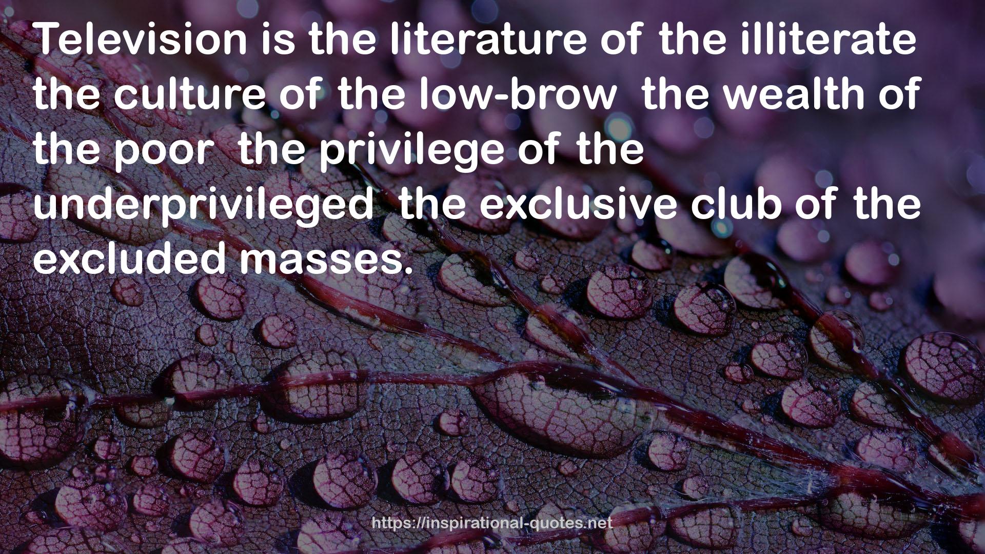 the low-brow  the wealth  QUOTES