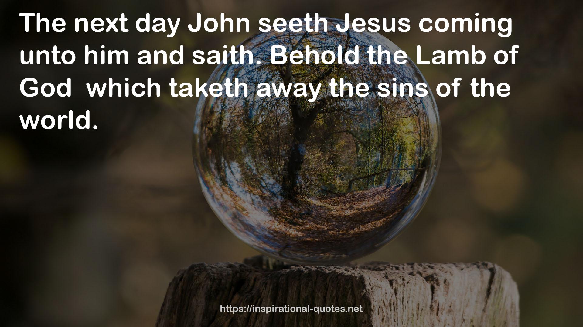 John seeth Jesus  QUOTES