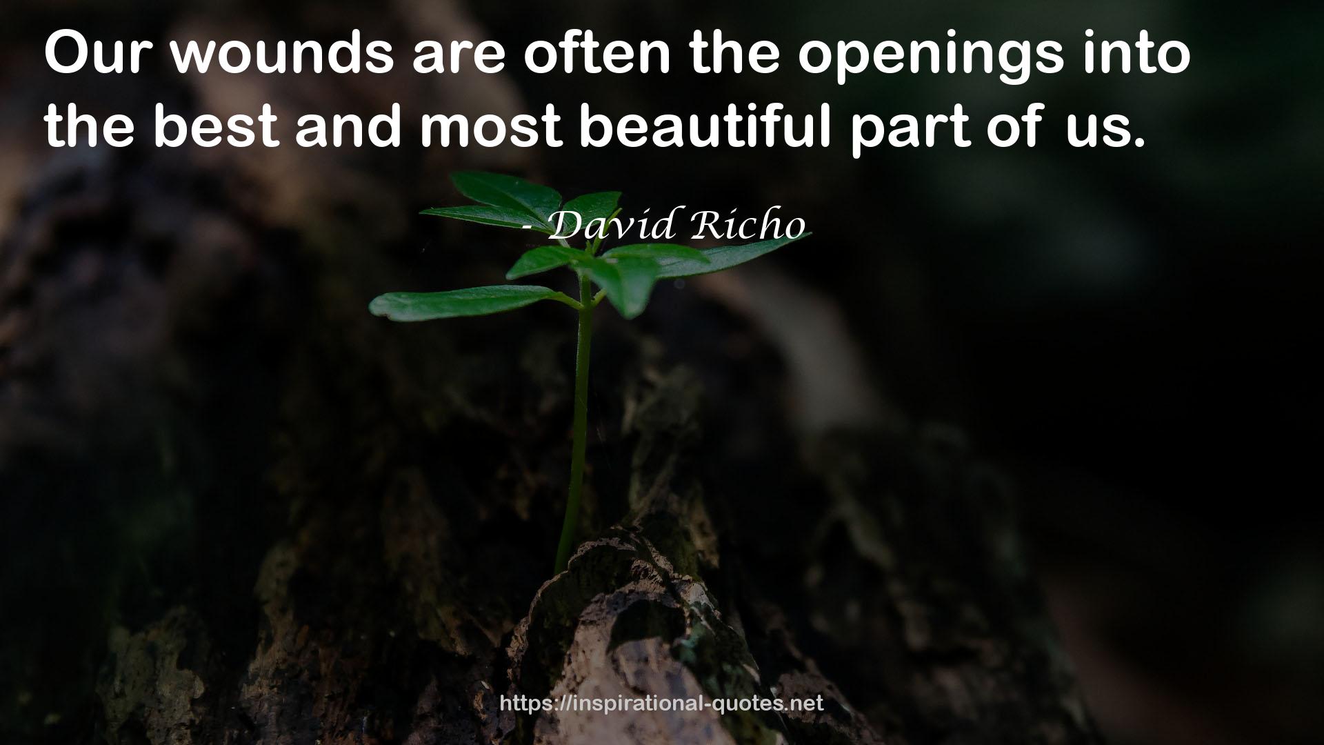 openings  QUOTES