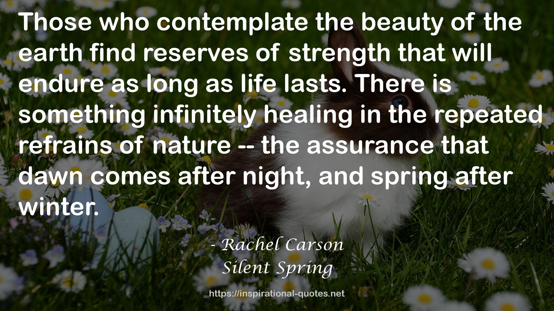 Silent Spring QUOTES