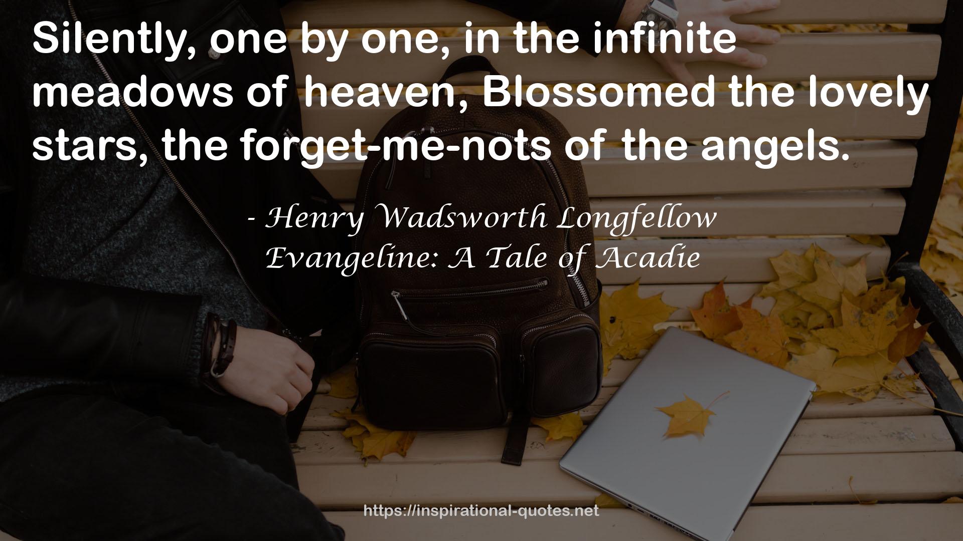 Evangeline: A Tale of Acadie QUOTES