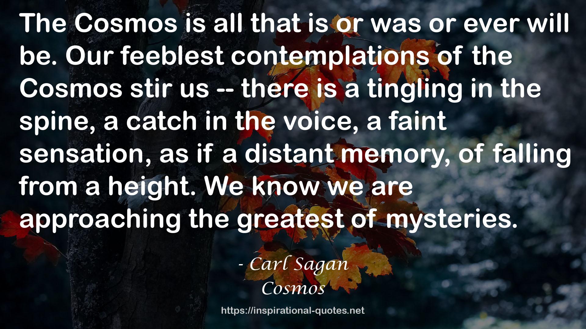 The cosmos  QUOTES