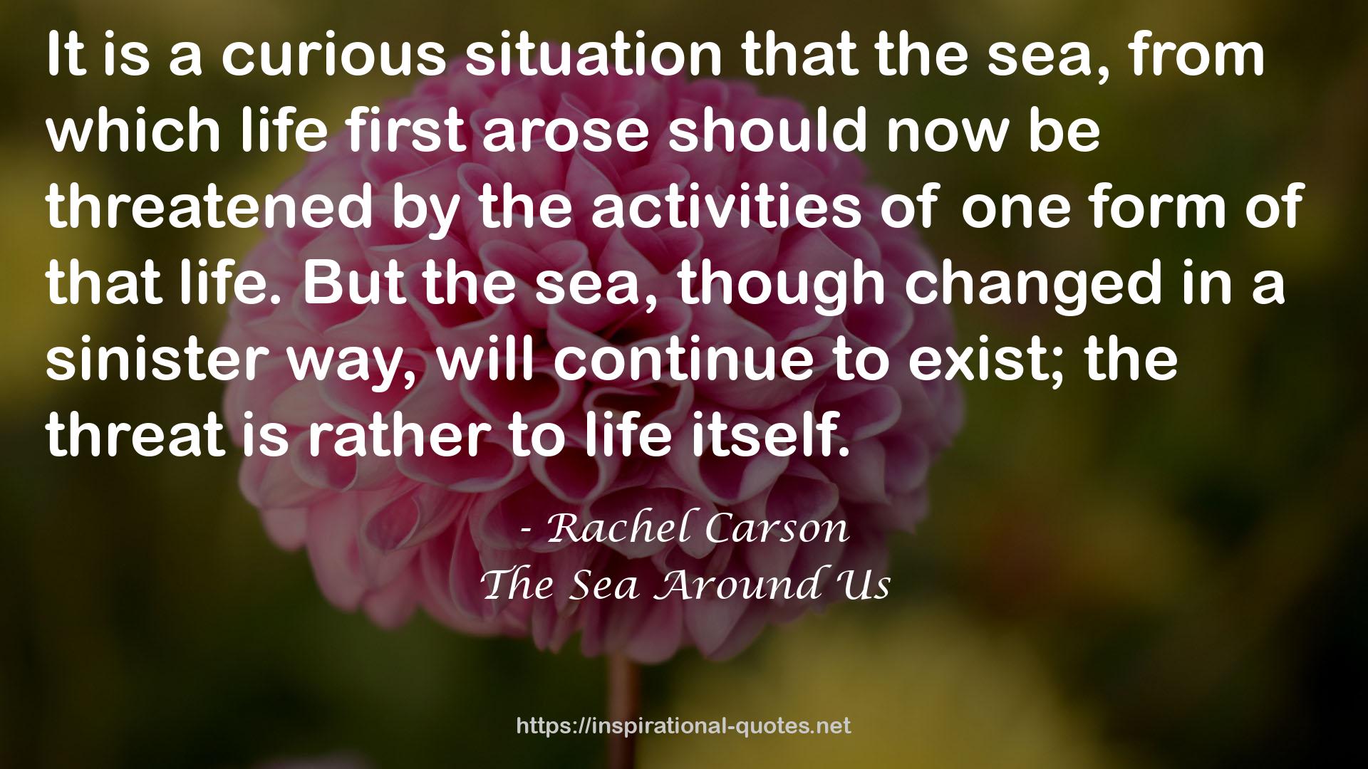 The Sea Around Us QUOTES