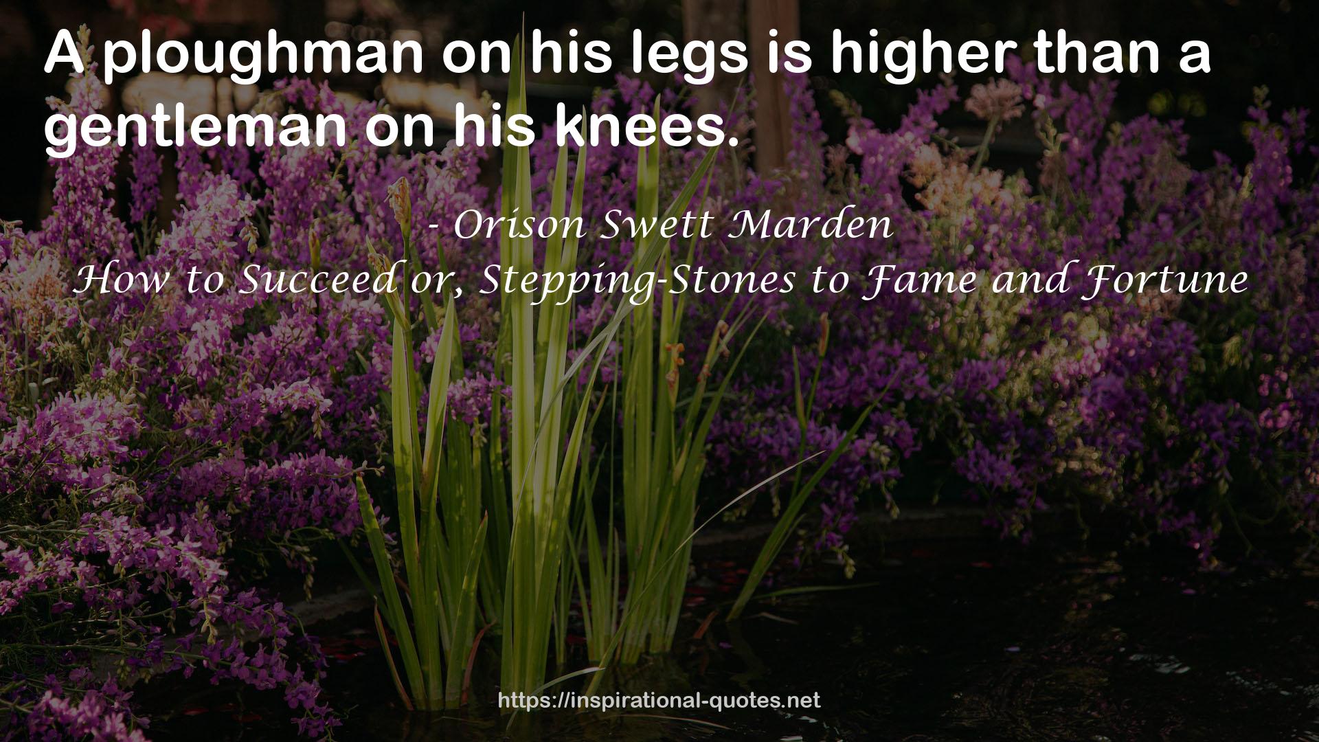 his legs  QUOTES