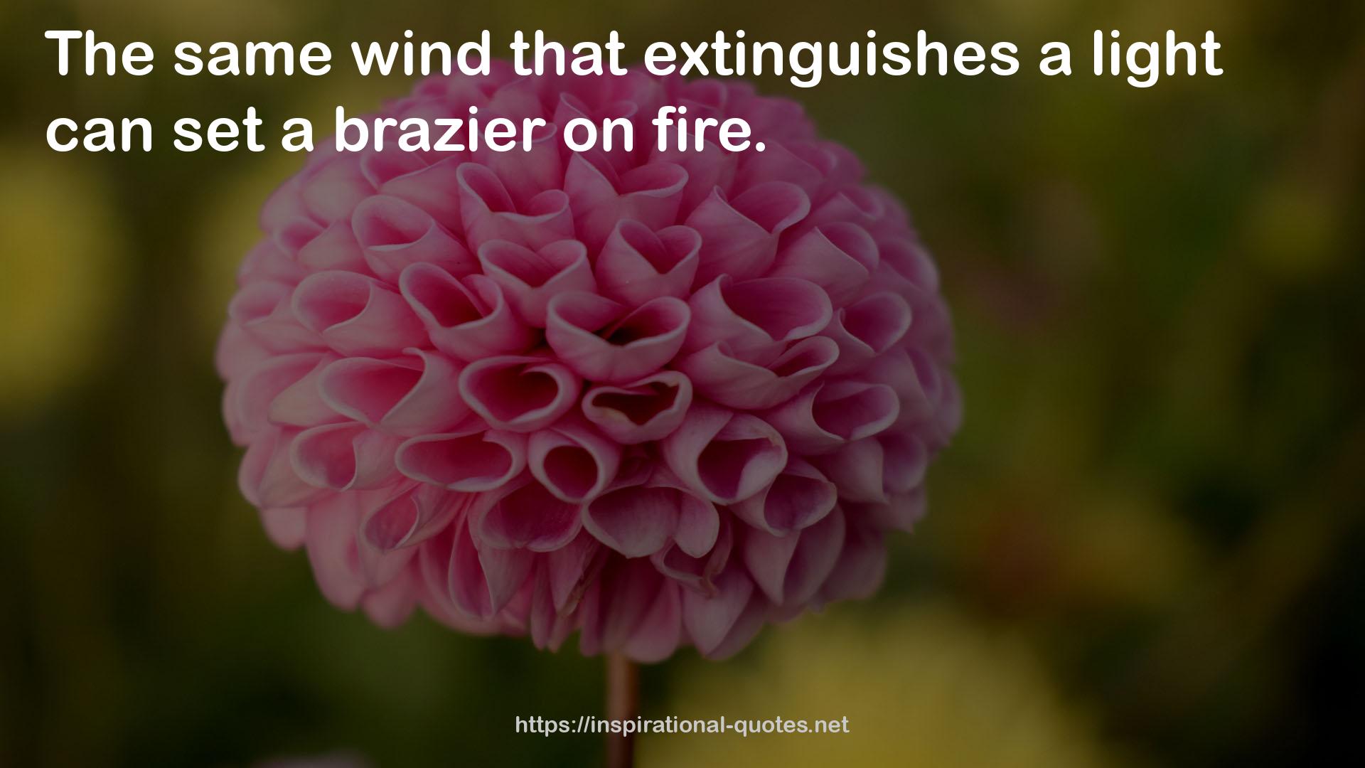 brazier  QUOTES