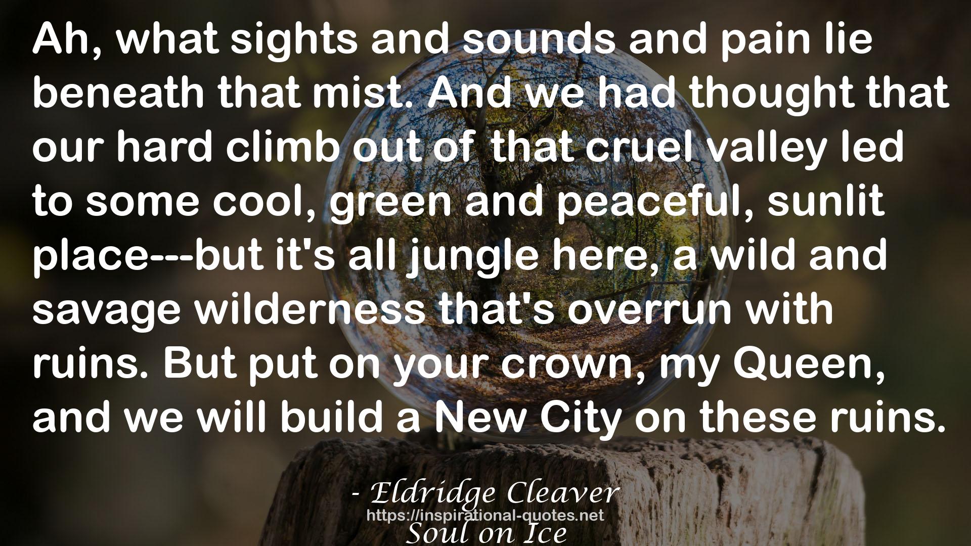 Eldridge Cleaver QUOTES