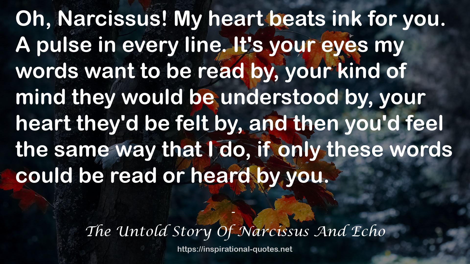 The Untold Story Of Narcissus And Echo QUOTES