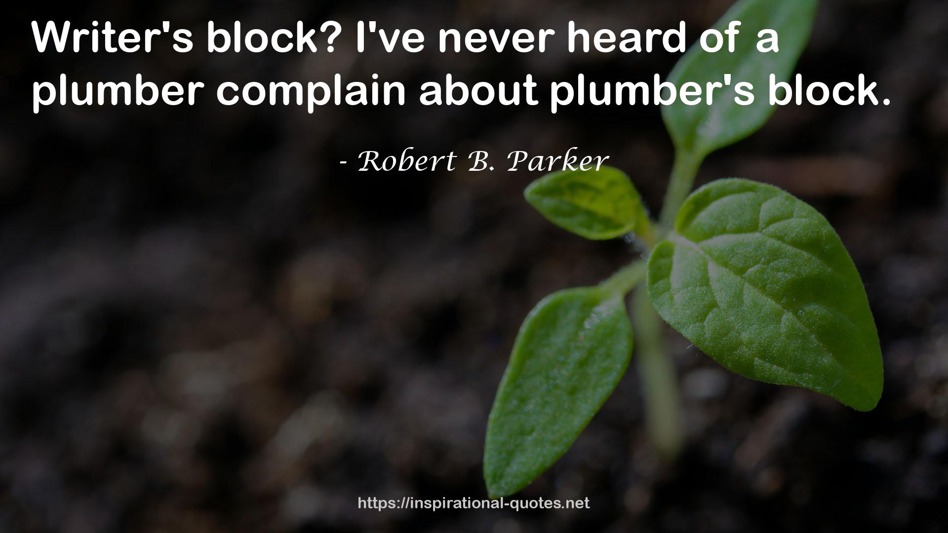 a plumber complain  QUOTES