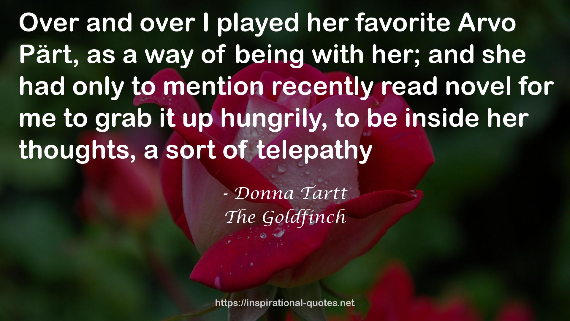 Donna Tartt QUOTES