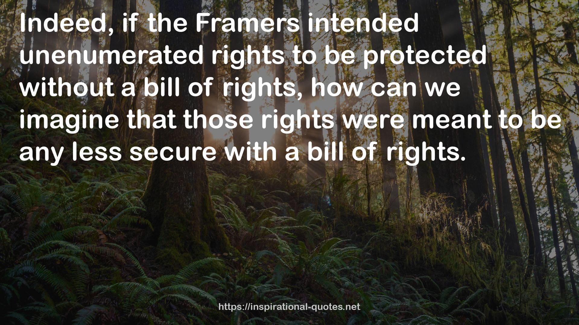 unenumerated rights  QUOTES