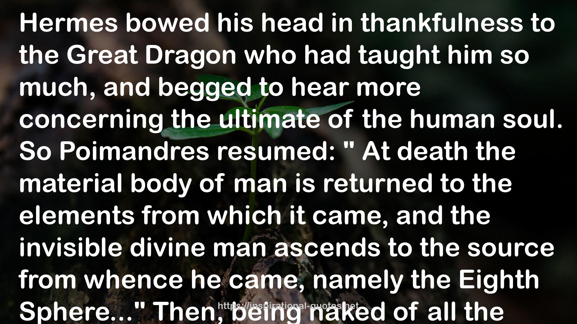 the Great Dragon  QUOTES
