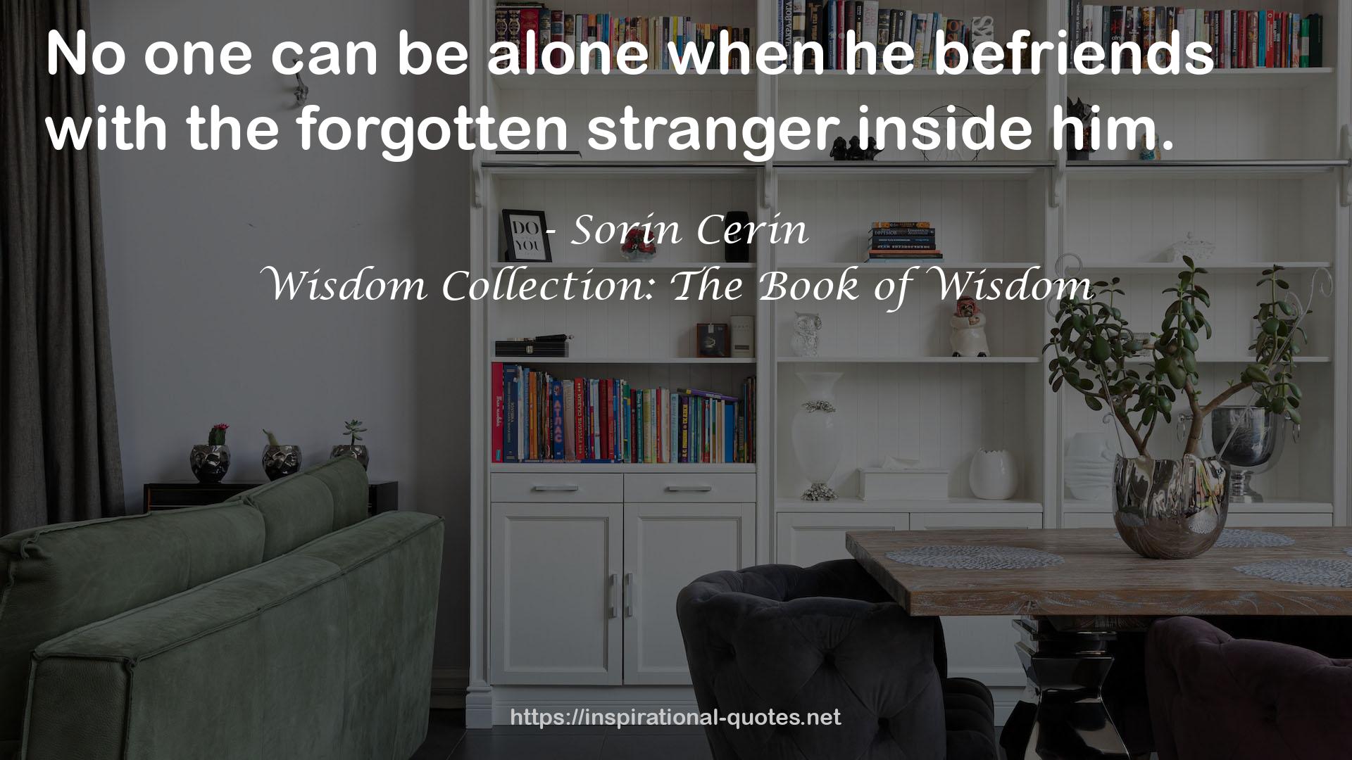 the forgotten stranger  QUOTES