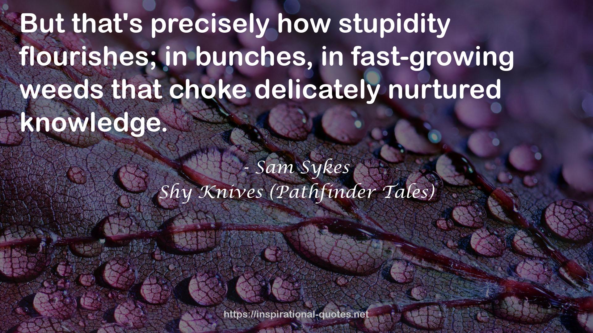 Sam Sykes QUOTES