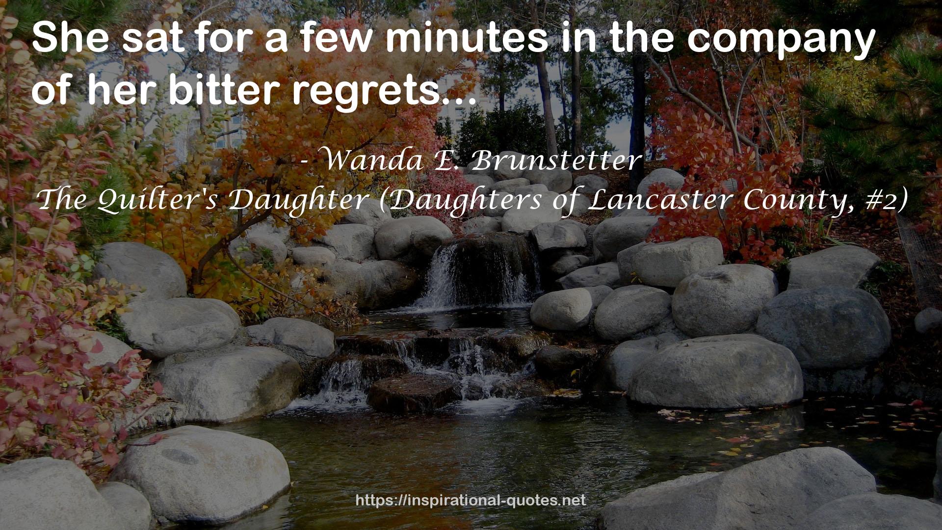 The Quilter's Daughter (Daughters of Lancaster County, #2) QUOTES