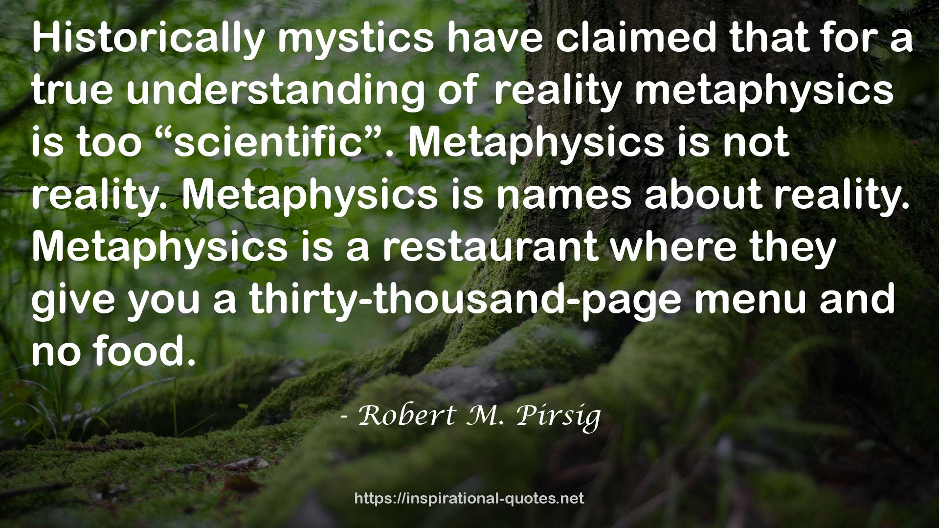 reality metaphysics  QUOTES