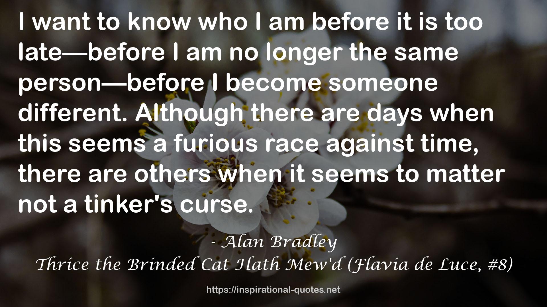 a furious race  QUOTES