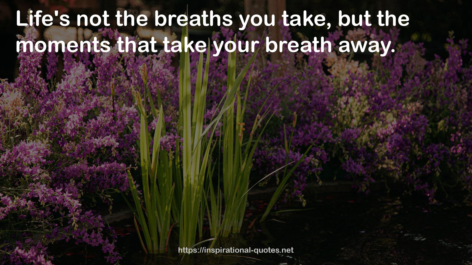 the breaths  QUOTES
