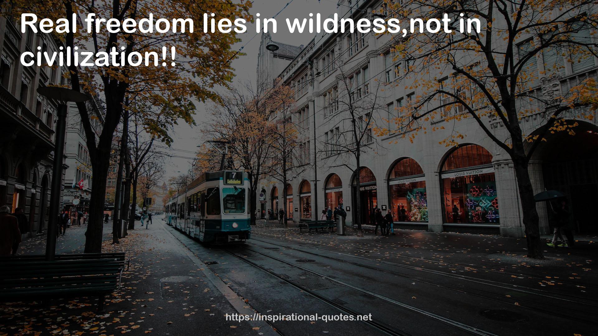 Real freedom  QUOTES