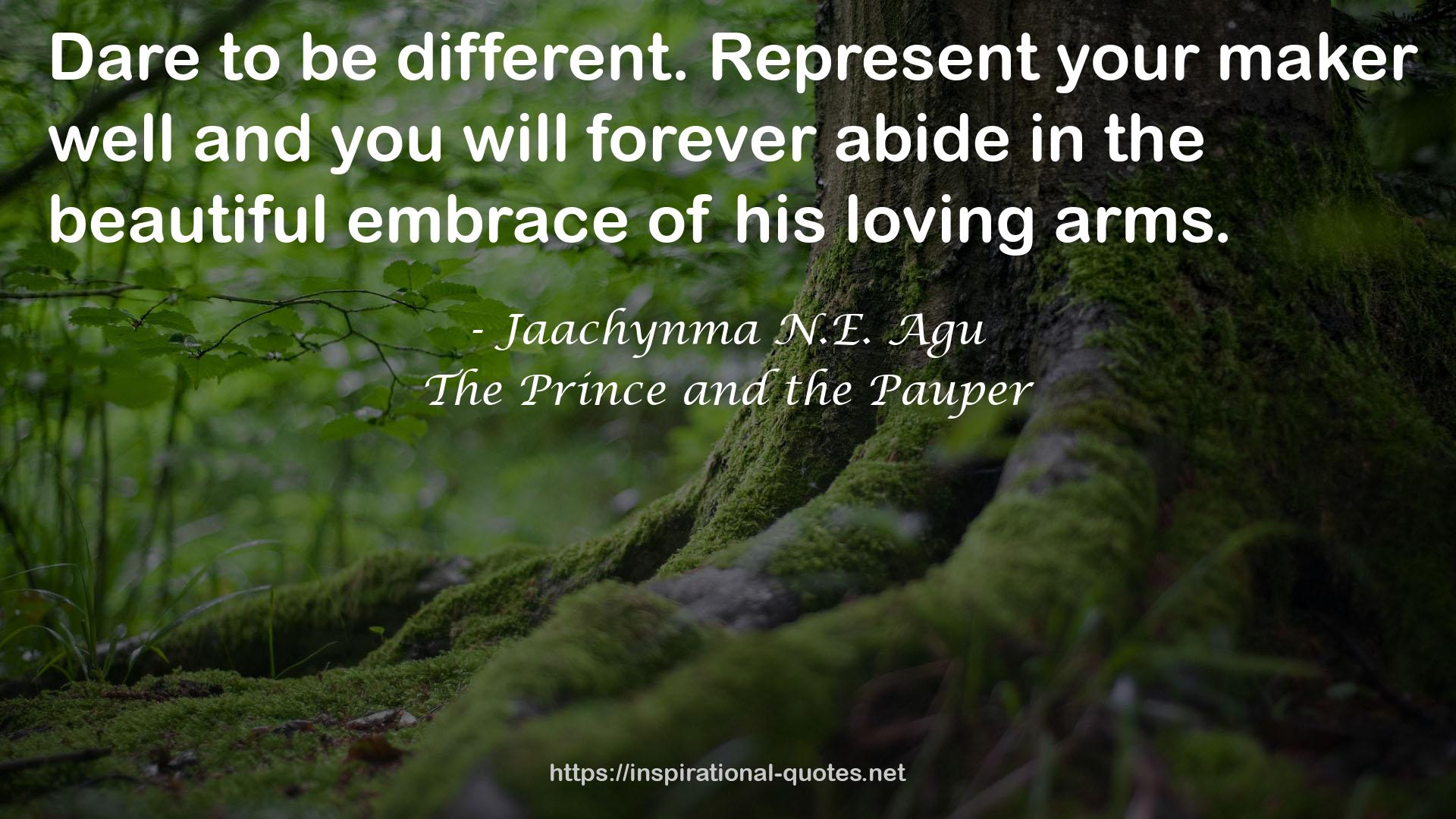 the beautiful embrace  QUOTES