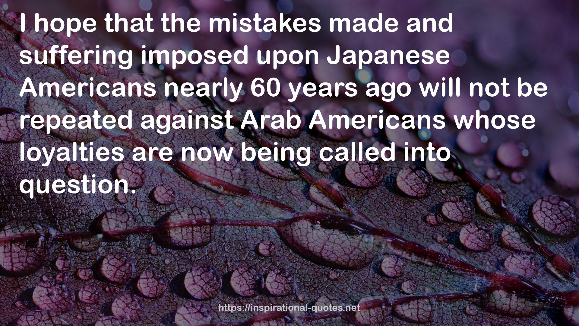 Arab Americans  QUOTES