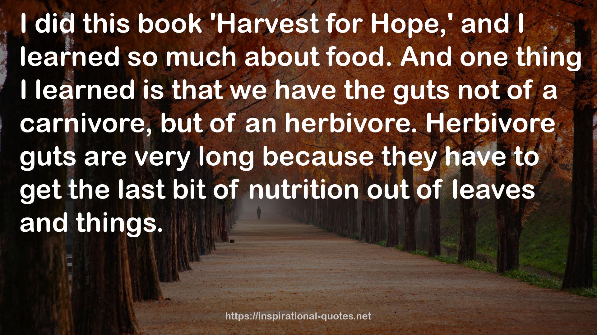 Herbivore guts  QUOTES