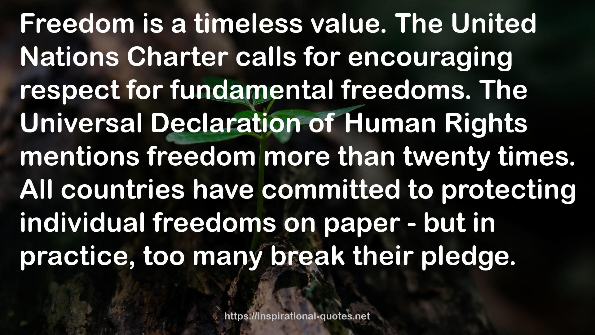 The United Nations Charter  QUOTES