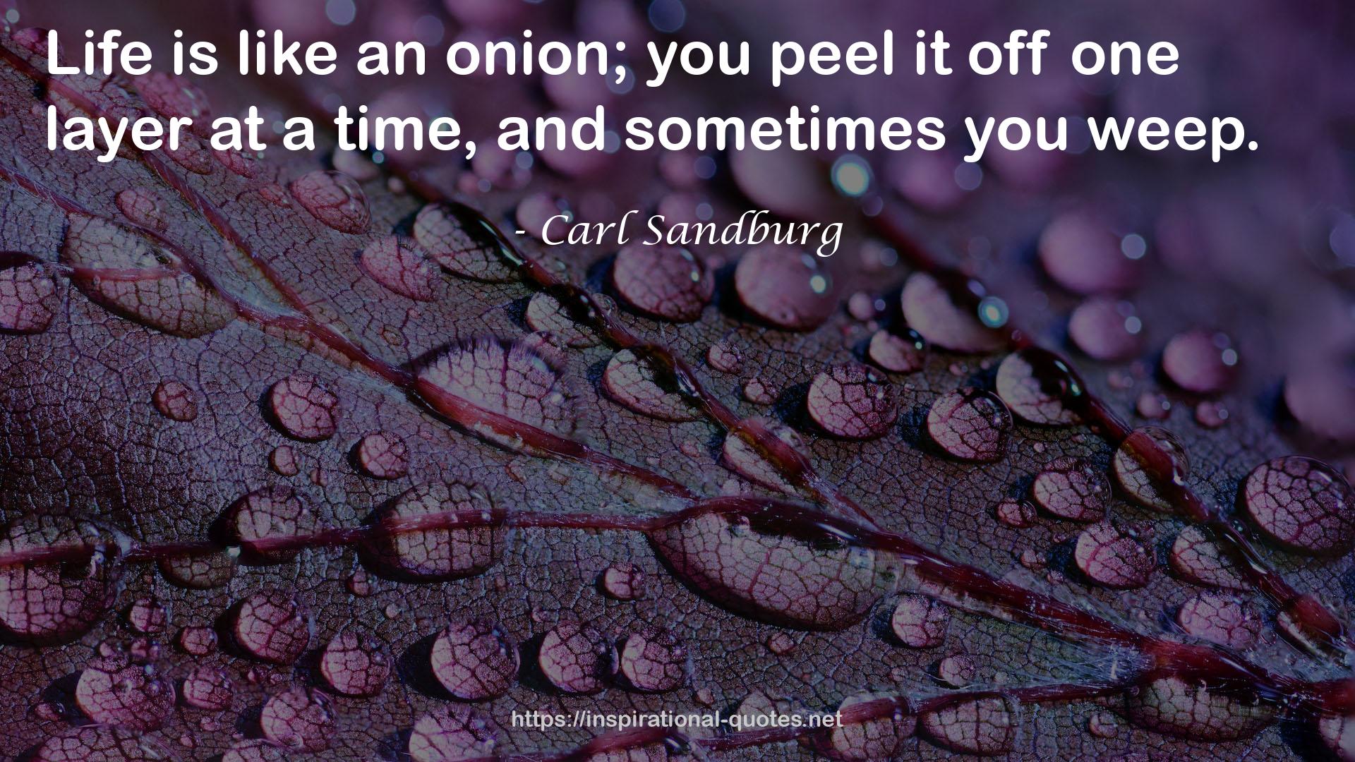 Carl Sandburg QUOTES