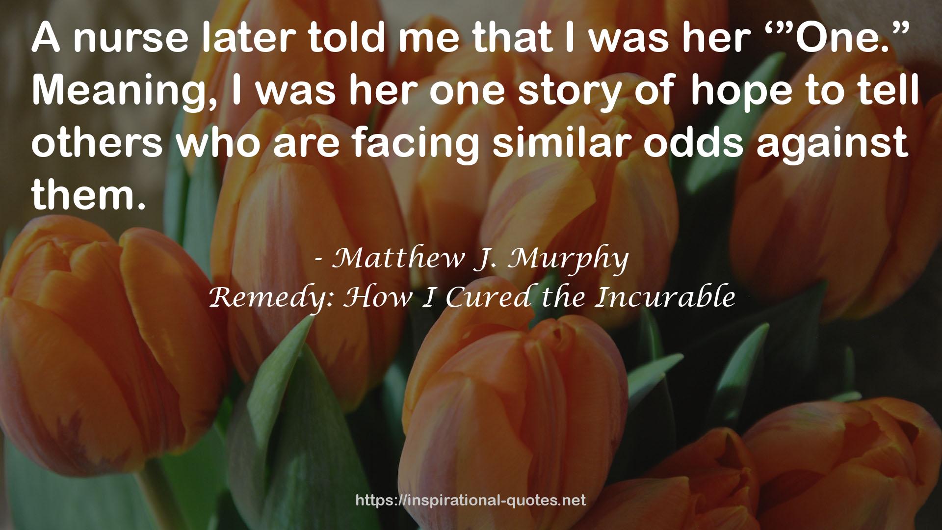 Matthew J. Murphy QUOTES