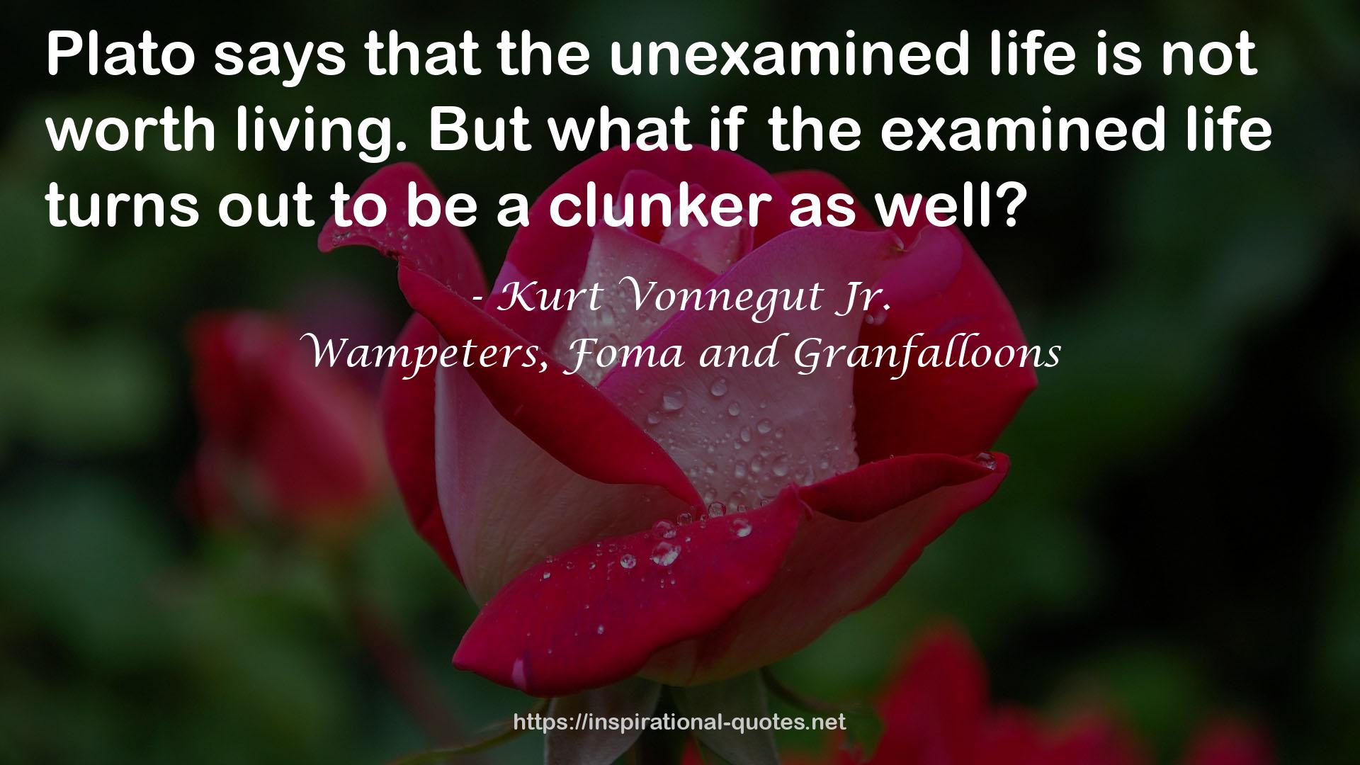 the unexamined life  QUOTES
