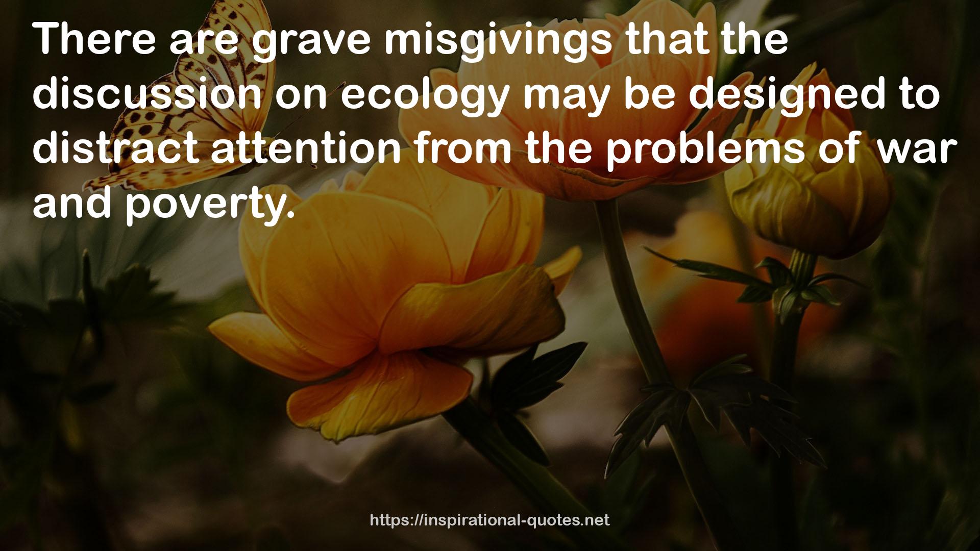 grave misgivings  QUOTES