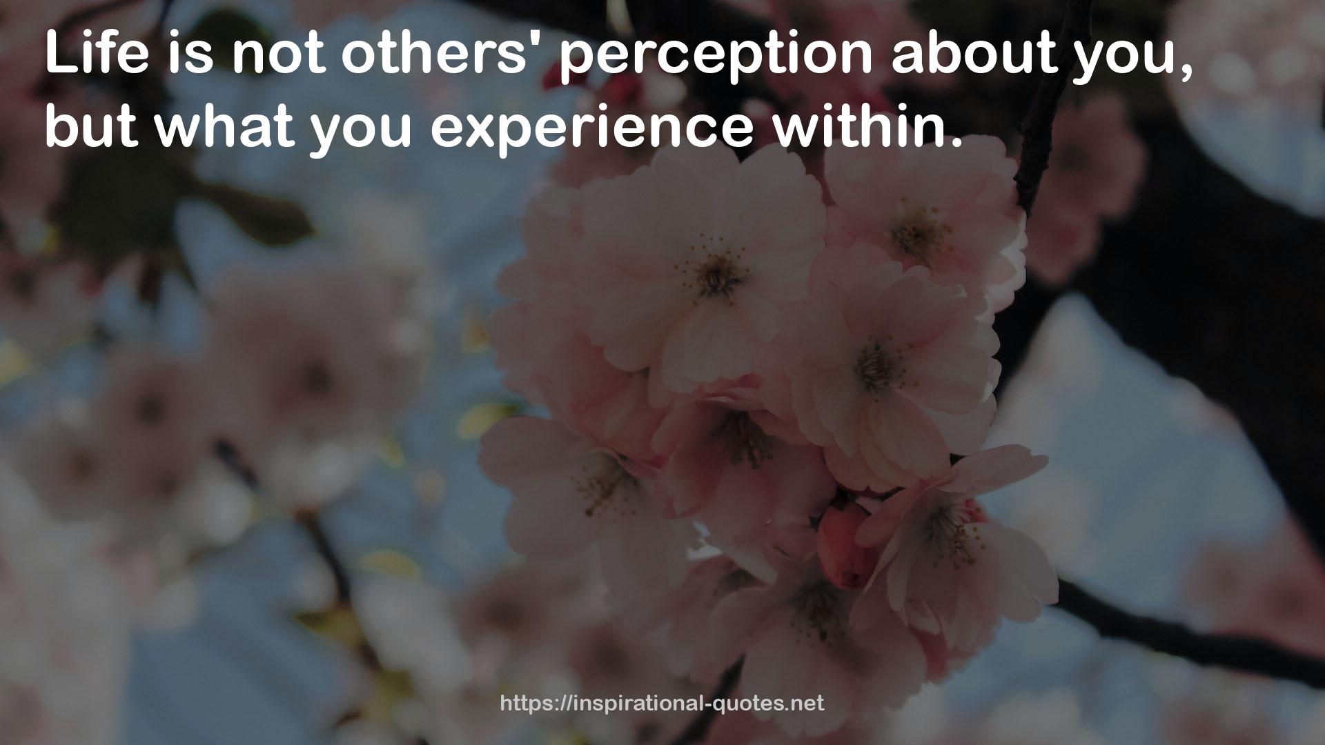 others' perception  QUOTES