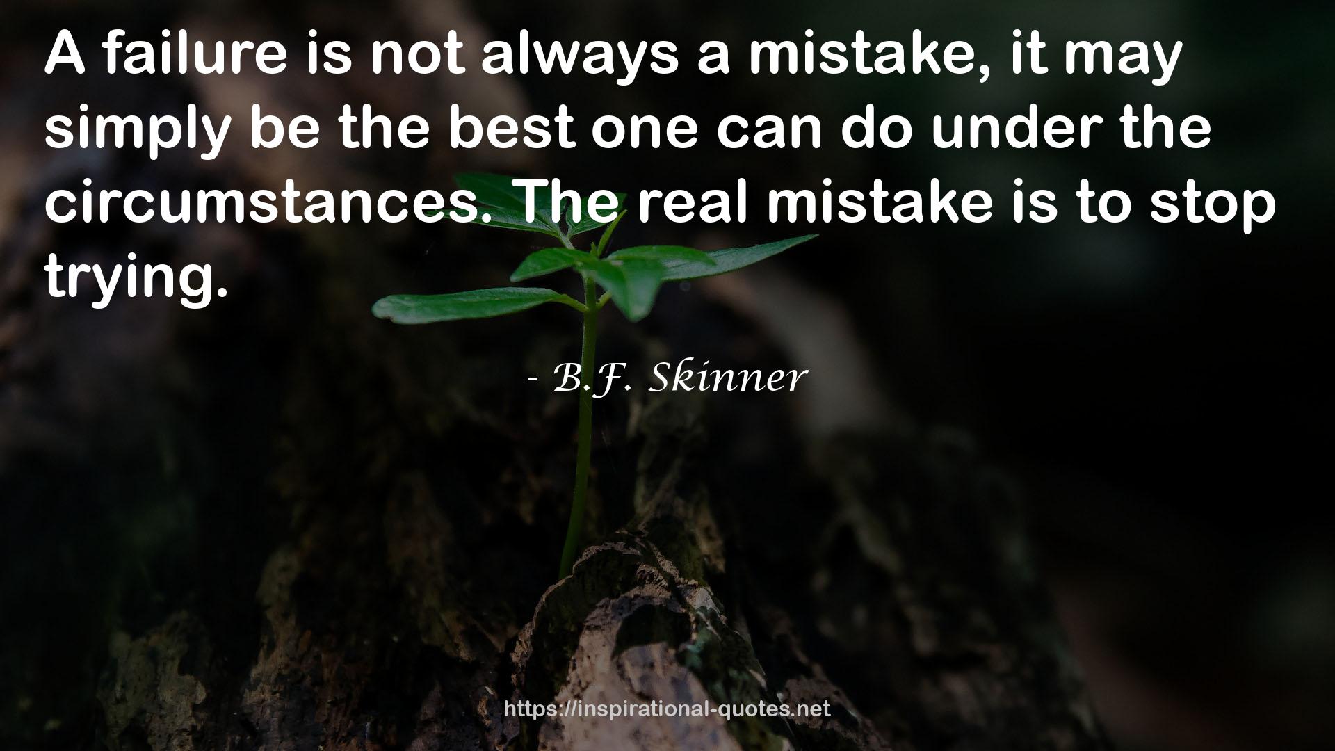 The real mistake  QUOTES