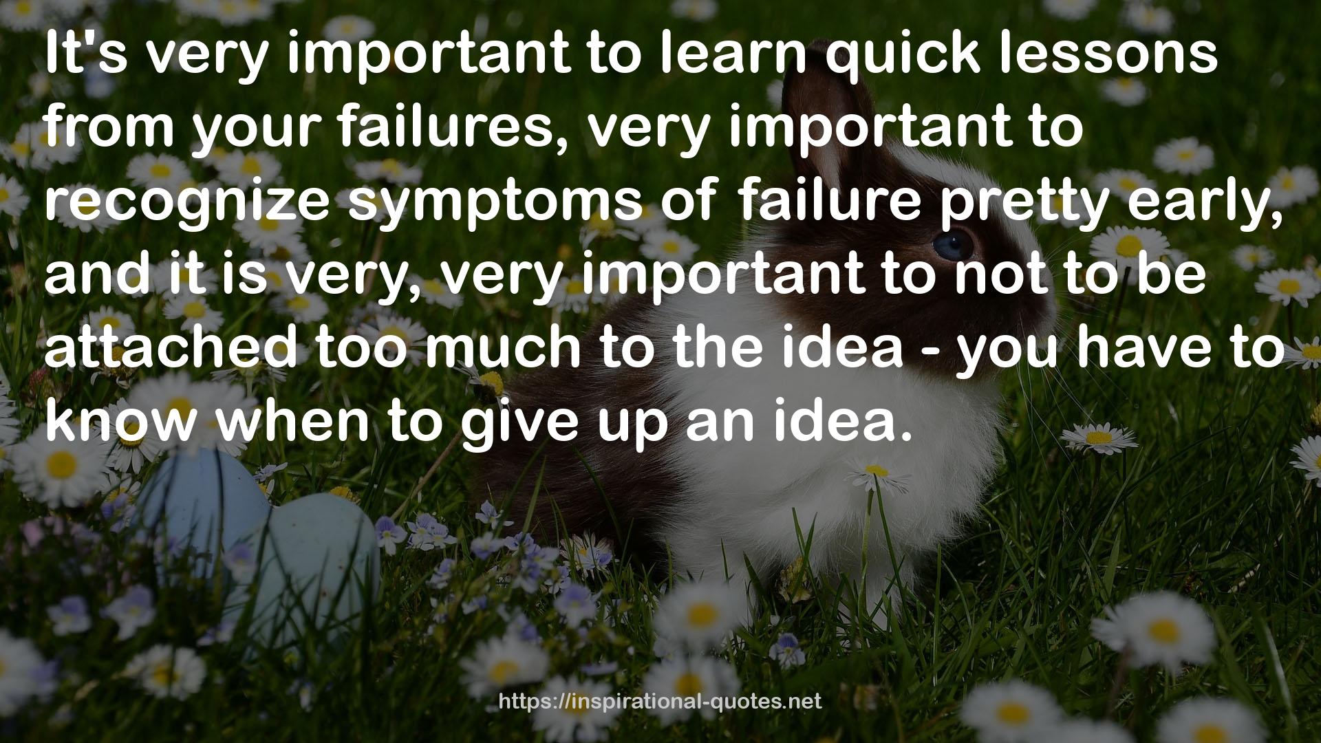 quick lessons  QUOTES