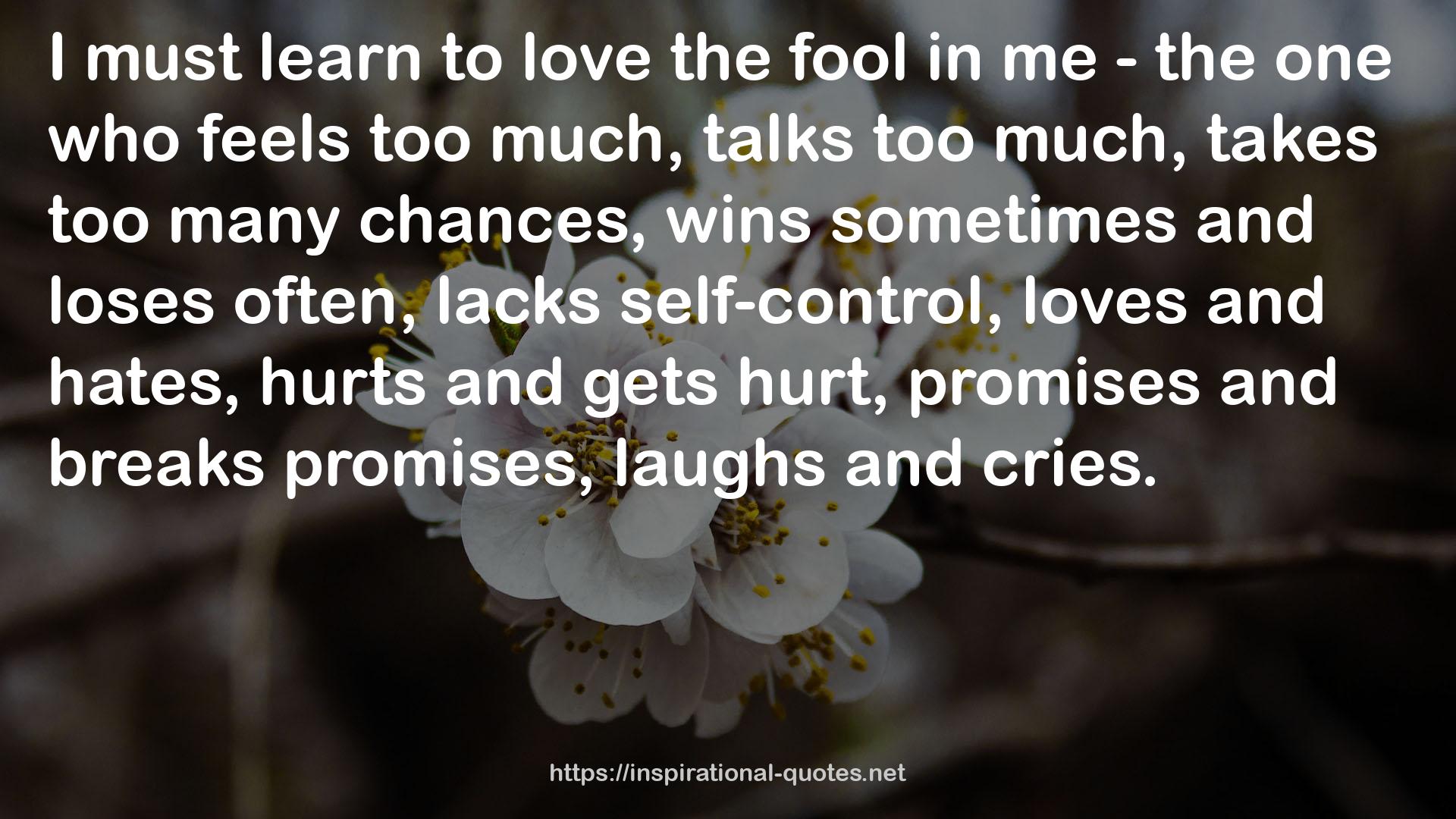 the fool  QUOTES
