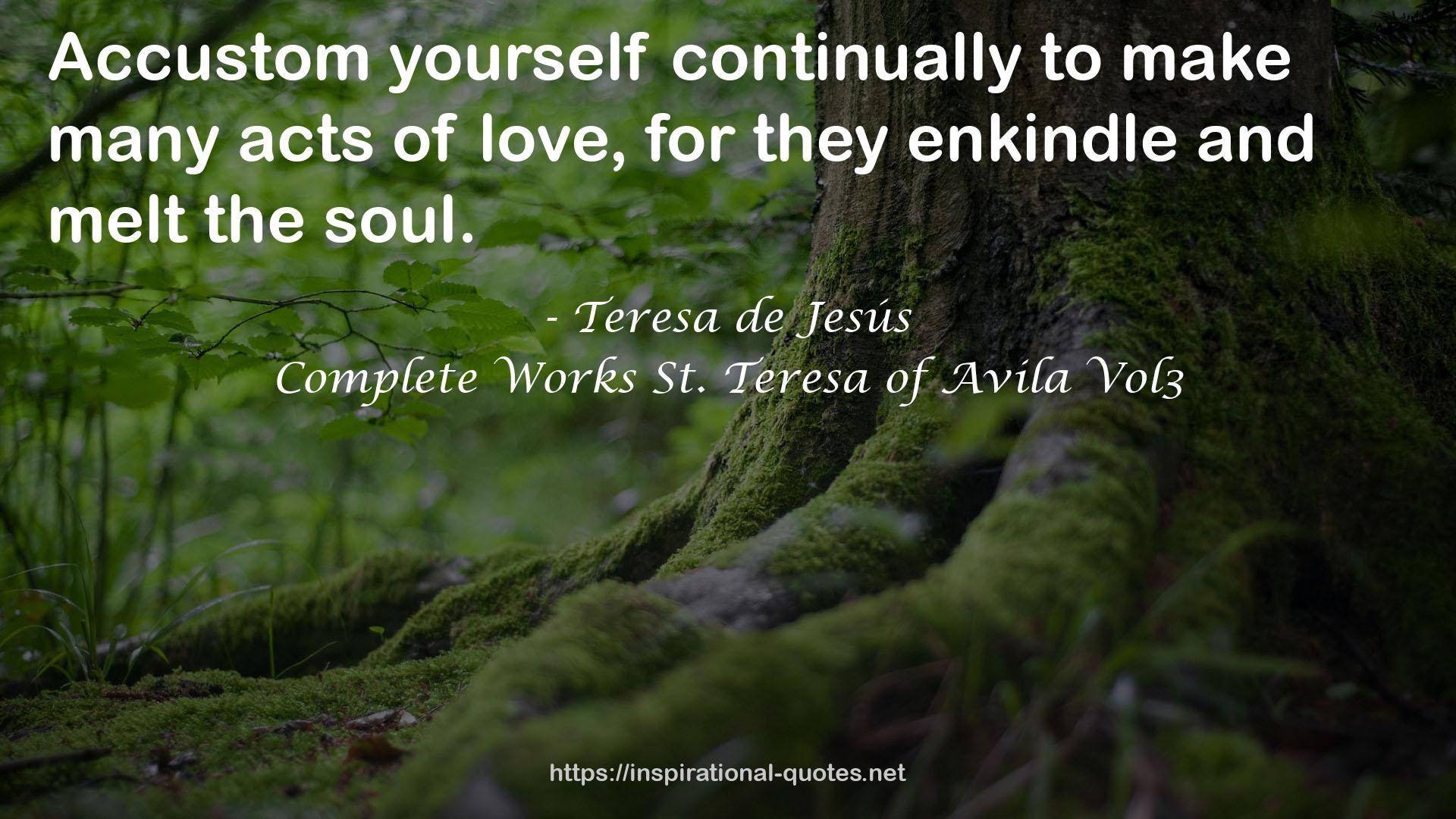 Complete Works St. Teresa of Avila Vol3 QUOTES