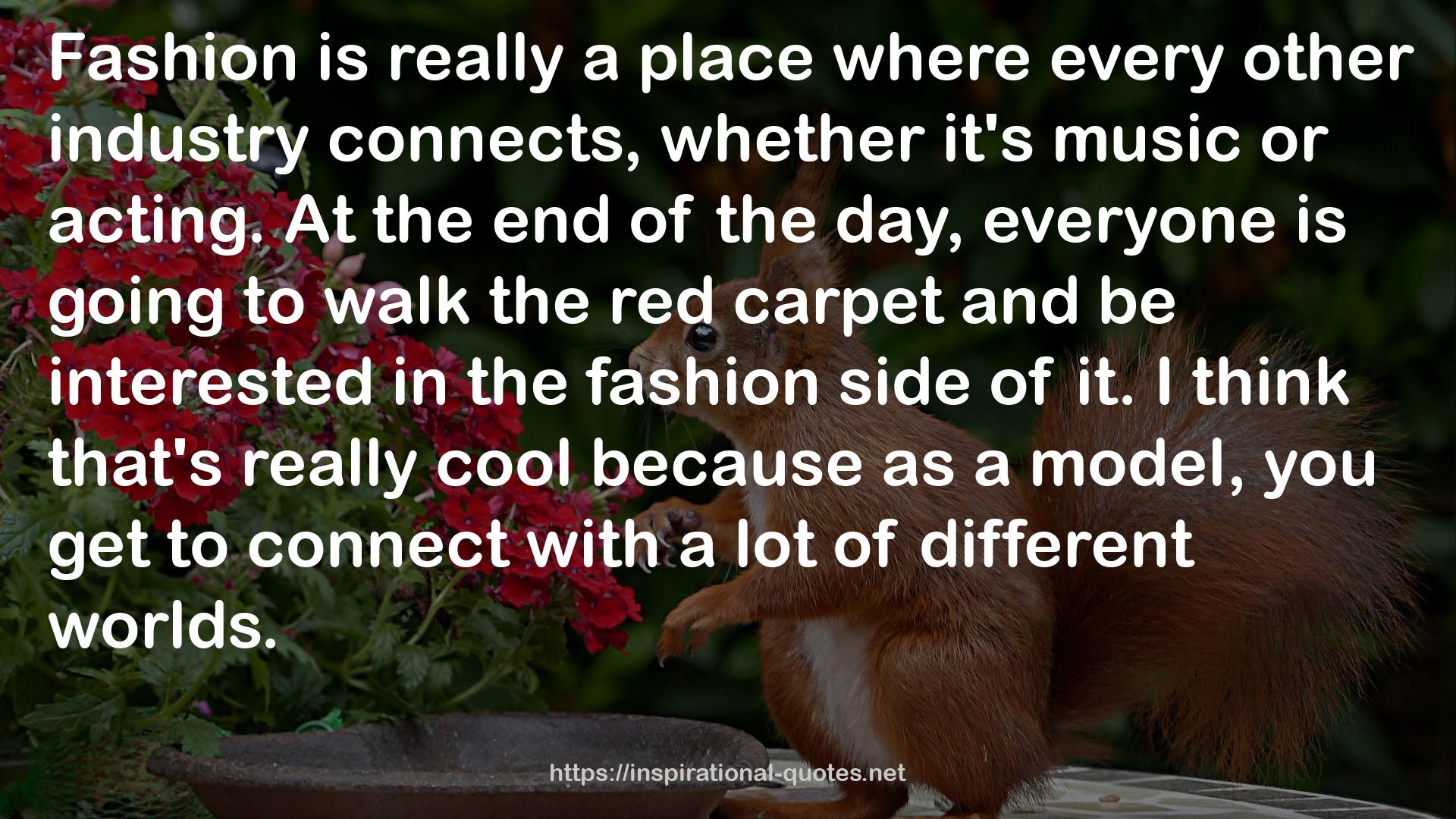 the fashion  QUOTES