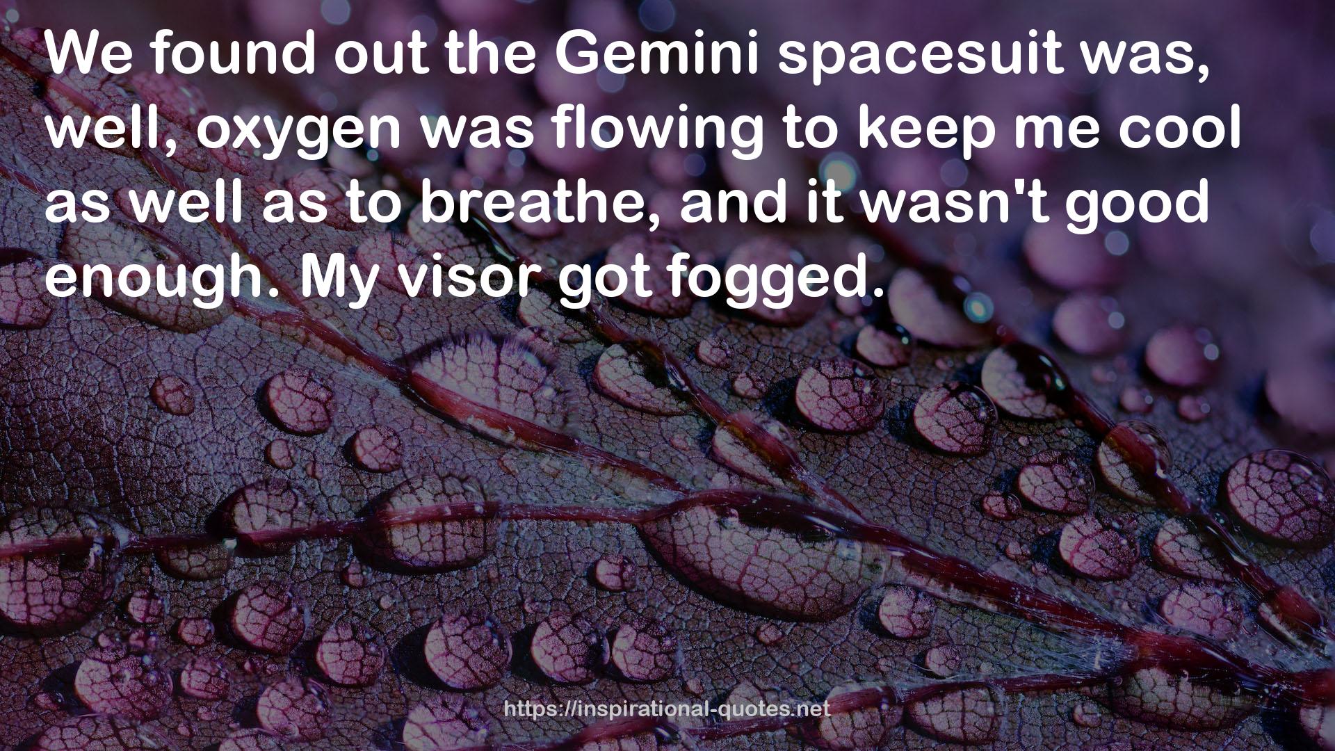 the Gemini spacesuit  QUOTES