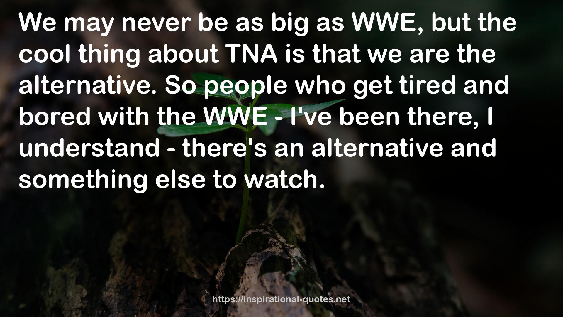 WWE  QUOTES